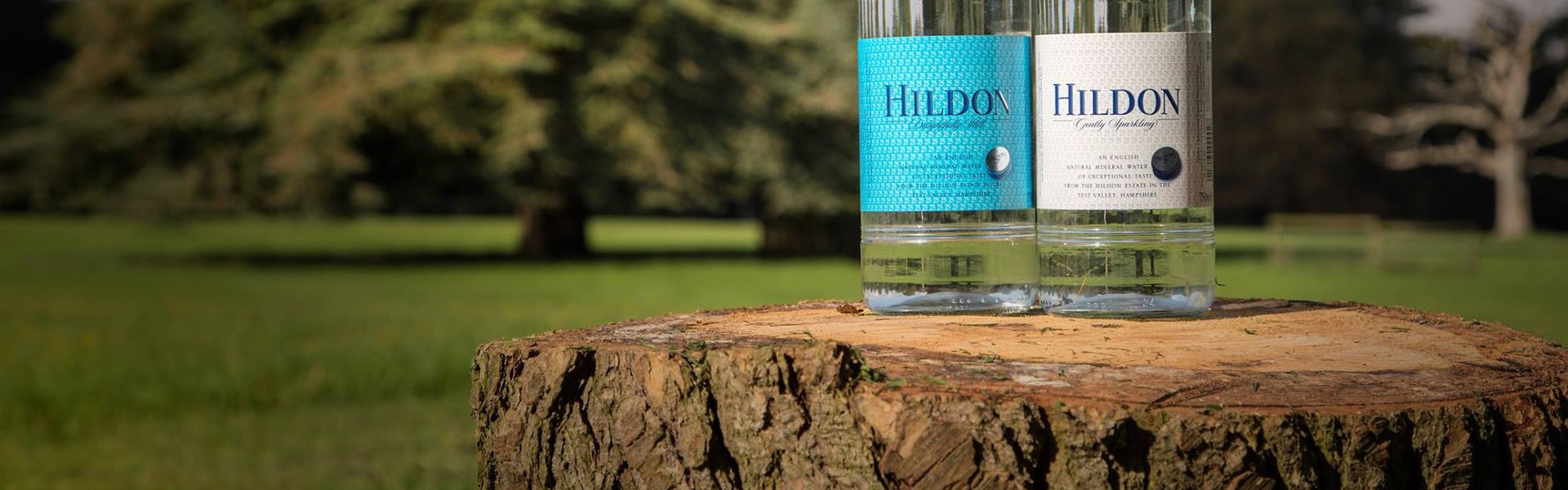 Hildon